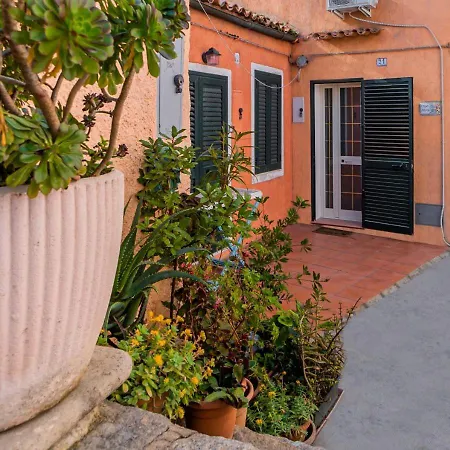 - Casa Papini